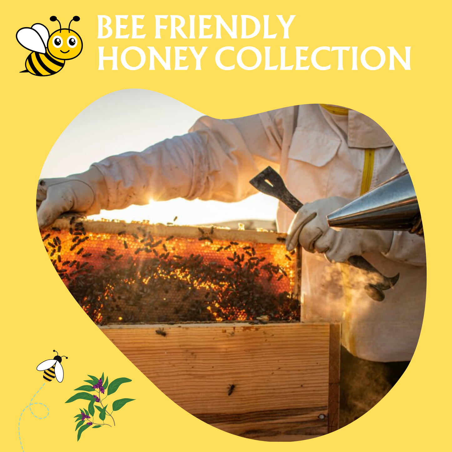 Tulsi Blossom Raw Organic Honey