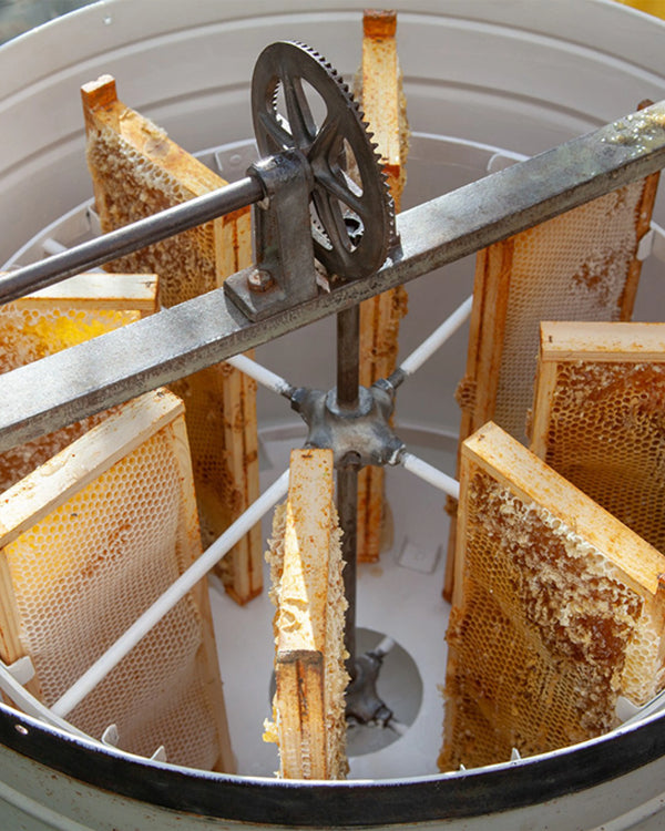 Honey Extraction