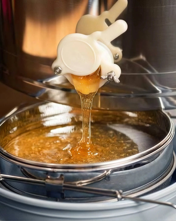 Natural Filtration