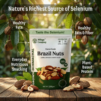 Village Company Farm Fresh Brazil Nuts