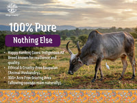 A2 Bilona Kankrej Cow Bilona Ghee from Villages of Rajasthan