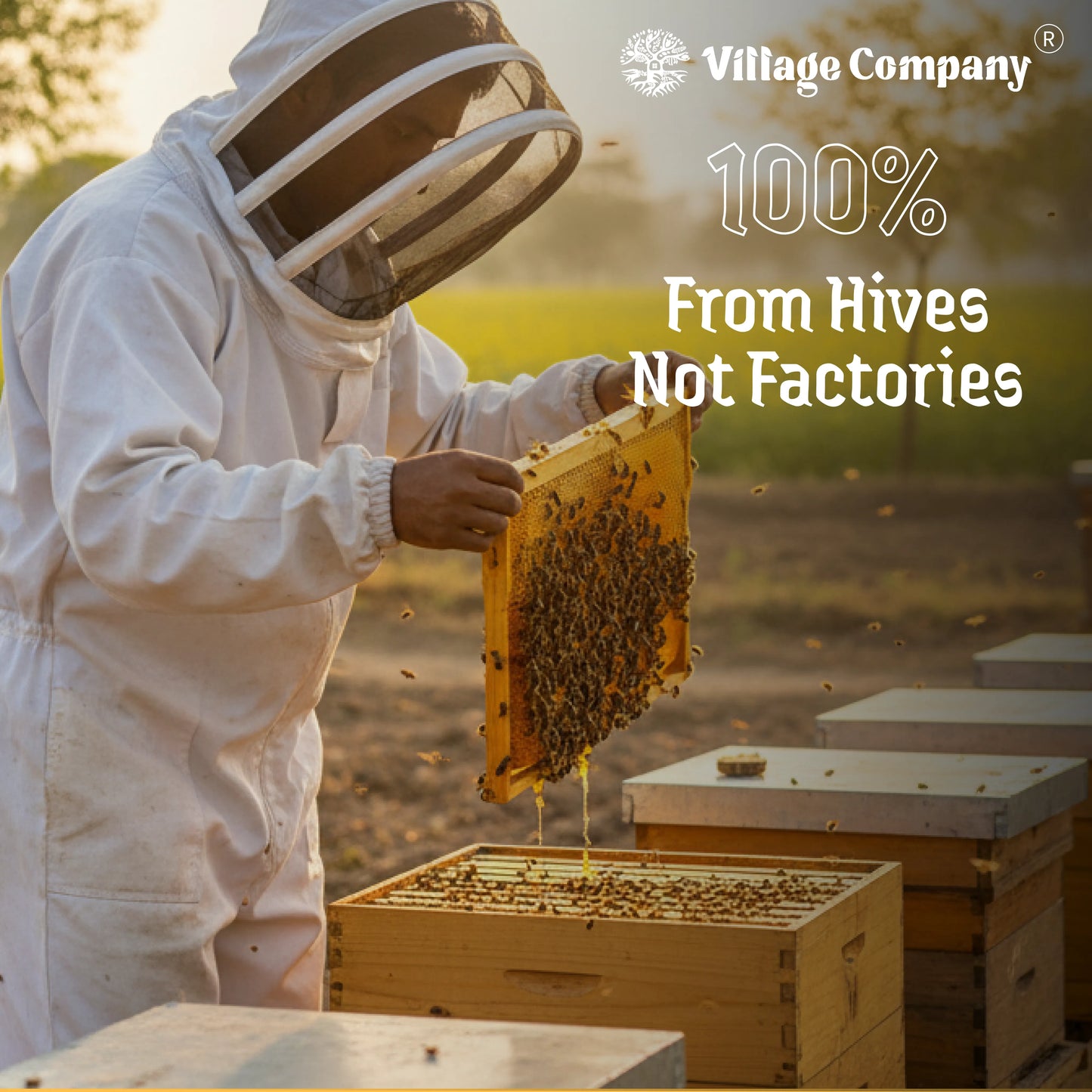 Village Company Organic Multiflora Honey
