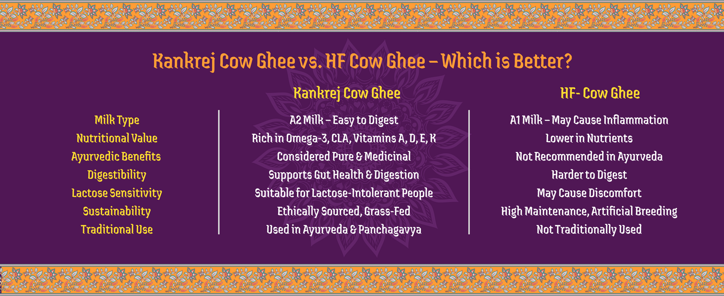 A2 Bilona Kankrej Cow Bilona Ghee from Villages of Rajasthan