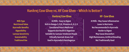 A2 Bilona Kankrej Cow Bilona Ghee from Villages of Rajasthan