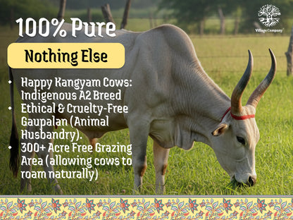 A2 Bilona Kangayam Cow Bilona Ghee from Villages of Tamil Nadu