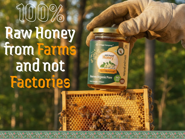 Wild Forest Blossom Raw Organic Honey