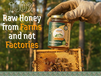 Wild Forest Blossom Raw Organic Honey