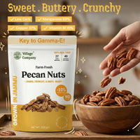 Village Company-Farm Fresh Pecan Nuts