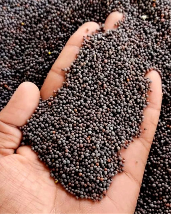 Seed Cleaning