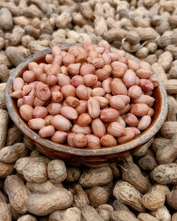 Groundnut Selection