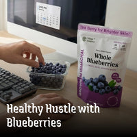 Village Company Premium Whole Blueberries